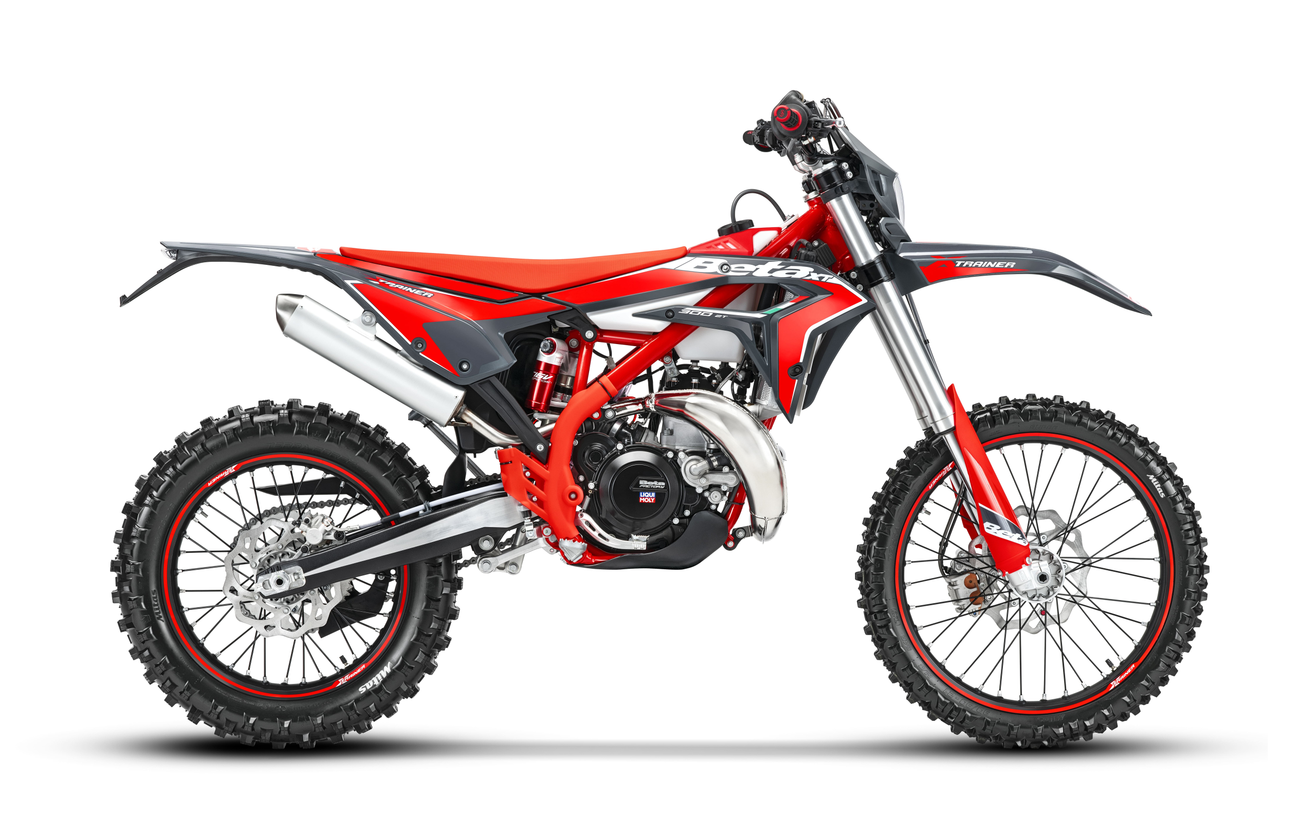 www.betamotor.com
